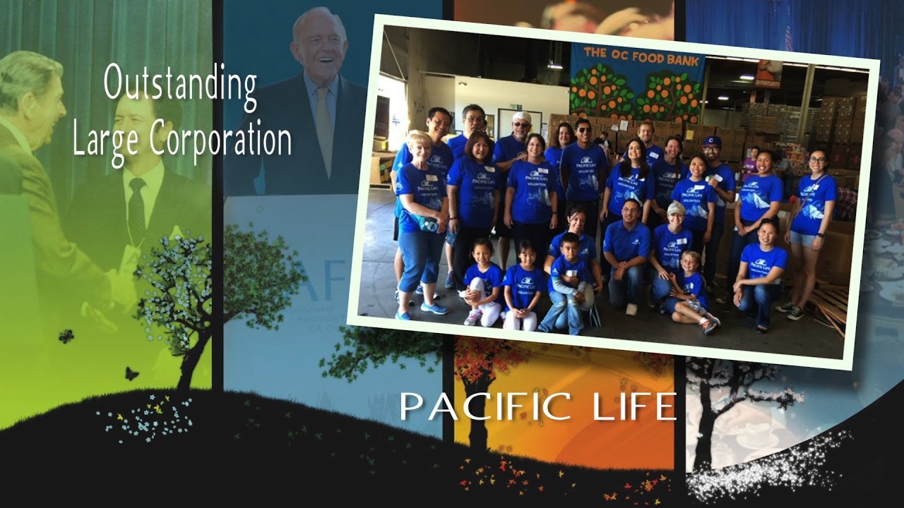 Outstanding Large Corporation - Pacific Life